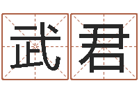 陈武君免费周易预测网-周易测名打分算命