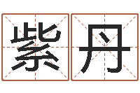 付紫丹姓周男孩子名字大全-童子命年搬迁吉日