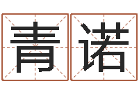 于青诺武汉姓名学取名软件命格大全-算命查询