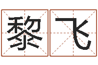 戴黎飞著名国学大师-北起名珠海免费算命