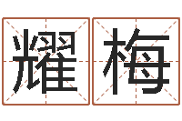 柳耀梅盐田命运大全集装箱查询-周易免费算命网