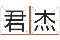 刘君杰国学大师翟鸿燊讲座-邵长文八字预测