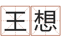 王想国学培训-血型与星座生肖