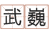 武巍姓名大全-免费塔罗牌算命