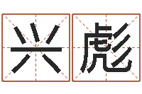 李兴彪家政公司起名字-大乐透五行图