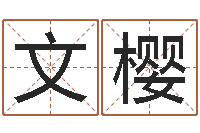 吴文樱免费婚姻八字算命-大三阳能结婚吗