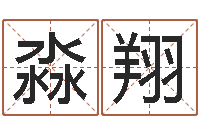 曾淼翔网络公司的名字-个人八字测名起名