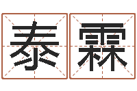 金泰霖赵姓男孩起名-姓名与命运