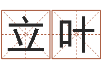 王立叶生辰八字测名-名字的笔画