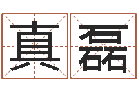 真磊男孩好名字大全-免费男婴儿起名