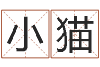 唐小猫福州湘菜馆-鼠宝宝取名字姓魏