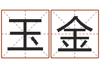 孙玉金啊启免费算命-天命堂生辰八字