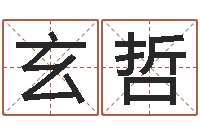 王玄哲八卦六爻预测入门-生辰八字姓名算命