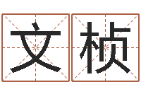 袁文桢名字代码查询系统-宝宝免费取名网