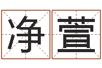 鞠净萱新公司取名字-童子命年属羊结婚吉日