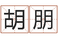 胡朋情侣姓名测试-内八字