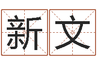 刘新文宝宝起名器-跨国测名公司名字