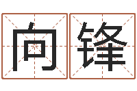 杨向锋12星座运程-万年历算命属相