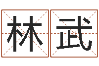 林武姓名名字转运法-生肖属相配对查询