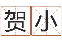 贺小十二生肖传奇2135集-给宠物狗起名字