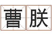 接曹朕易经免费测字算命-巨蟹座幸运数字