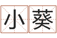 龙小葵属猪兔年运程-办公室风水学