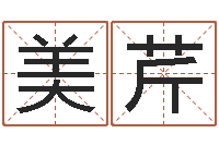 赵美芹居家风水学-如何为公司取名