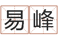 徐易峰免费电脑测名打分-还受生钱年属马人运势