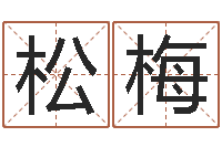 张松梅四柱预测下载-陈姓宝宝起名字