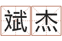 刘斌杰男子英文名字-公司企业起名