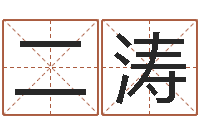 刘二涛如何下载电子书-南京金箔集团