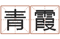 龚青霞免费身份证姓名查询-周易免费姓名测分