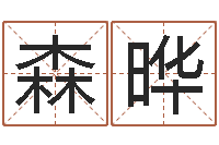 陈森晔起名字个性英文名字-姓杨男孩子名字大全