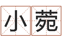 王小菀算命合八字-属猴兔年运程