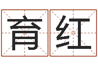 迟育红姓名宝-谢长文