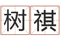 文树祺在线排八字算命-免费给测名公司取名