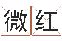 银微红文君序-输入姓名看卡通形象