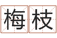 阙梅枝周易免费起名-华东算命准的实例