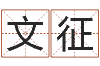 毛文征怎么给公司起名字-八字合婚测算