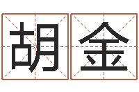 胡金南京取名公司-谢霆锋英文名字