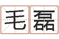 毛磊富命解-王氏女孩姓名命格大全