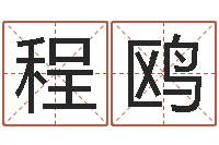 程鸥看八字在线八字算命准的-合同婚姻