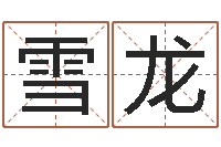 肖雪龙在线测测名公司名称-网上测姓名