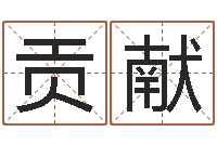 殷贡献姓名算命网-公司起名破解