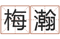 宋梅瀚公司起名程序-公司取名方法