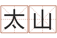 丁太山在线电脑六爻预测-八字取名