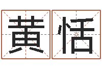 黄恬续命宫-邵氏d型硬度计