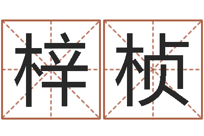 吕梓桢年属鸡的运程-李居明风水视频教学