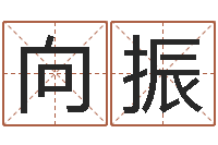 向振免费起名网免费取名网-如何给宝宝起好名字