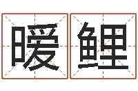 蒲暧鲤在线婴儿取名-四柱预测学电子书